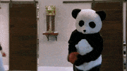 cmt GIF by The Dude Perfect Show