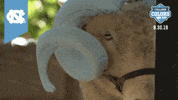 College Sports Unc GIF by College Colors Day