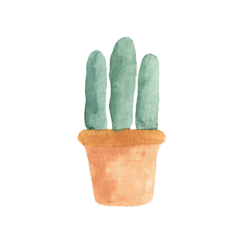 Cactus Pflanzen Sticker by Hello Ginger