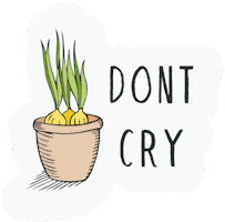 plantum plant plants insect onion Sticker