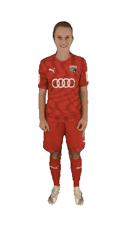 schanzerinnen giphyupload frauenfussball nichtohnemeinemädels schanzerinnen Sticker