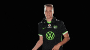 E Sports Sport GIF by VfL Wolfsburg