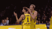 bundesliga basketball berlin GIF by easyCredit Basketball Bundesliga