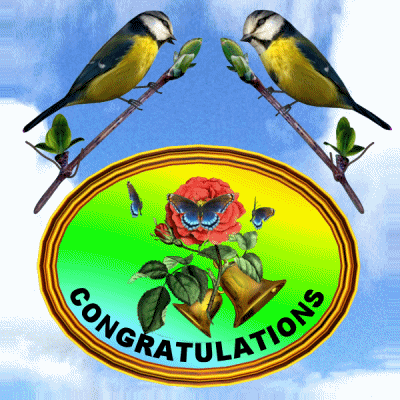 Well Done Congrats GIF