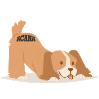 WonderfoodACANA dog thank you thanks cane Sticker