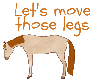 Balanced Riding Sticker by lightandsupplehorses