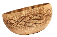 Coconut Tropi Sticker by Tropikalia.cz