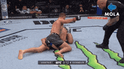 Angry Ultimate Fighting Championship GIF by MolaTV
