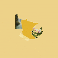 United States America GIF by Crooked Media