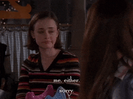 season 4 netflix GIF by Gilmore Girls 