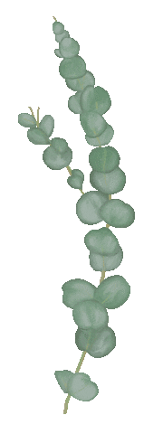 Essential Oil Plant Sticker