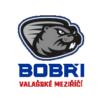 hcbobri valmez valasskemezirici bobri hcbobri Sticker