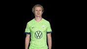 Happy Celebration GIF by VfL Wolfsburg