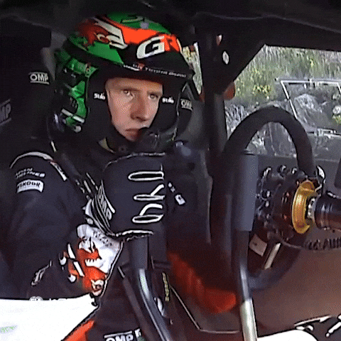 Driving See You GIF by FIA World Rally Championship