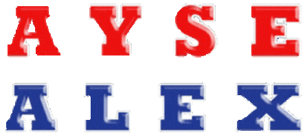 Ayse Sticker by Aysem Sultan
