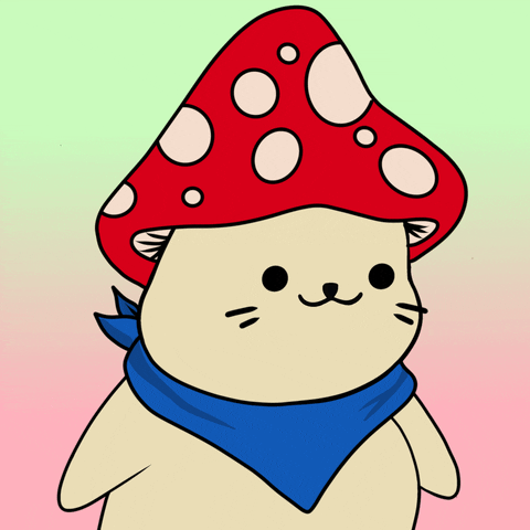 Happy Fun GIF by Sappy Seals Community