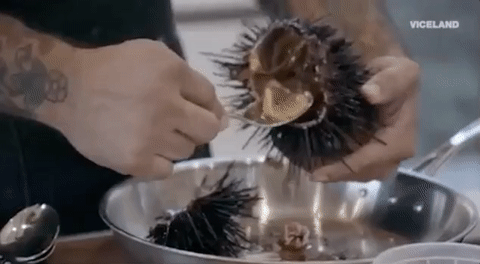 viceland GIF by Bong Appetit
