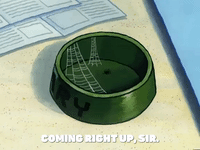season 5 episode 3 GIF by SpongeBob SquarePants