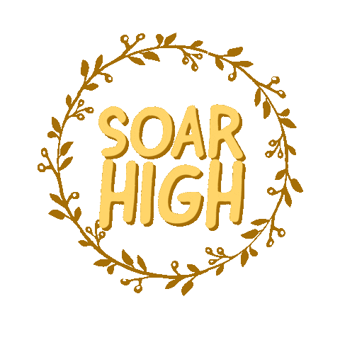 Aim High Study Sticker