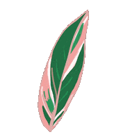 Plant Leaf Sticker