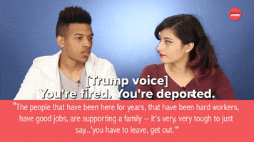 You're Fired