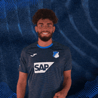 Sport Bundesliga GIF by TSG Hoffenheim