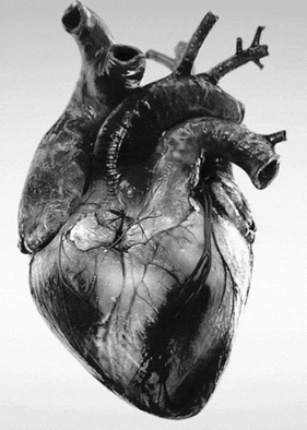 dustuncan giphyupload GIF