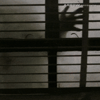 Peter Ho-Sun Chan Horror GIF by Arrow Video