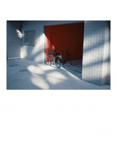 chrisdc451 giphyupload GIF