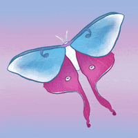 Pride Queer GIF by Contextual.Matters