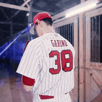 Home Run Celebration GIF by Gamecock Athletics