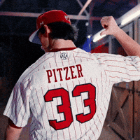 Home Run Celebration GIF by Gamecock Athletics