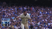 Celebrate Fired Up GIF by MLB