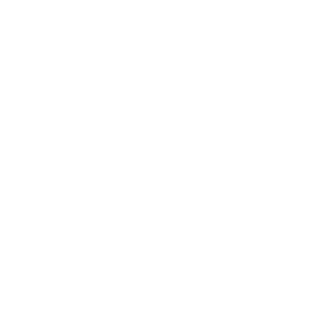 Pyc Sticker