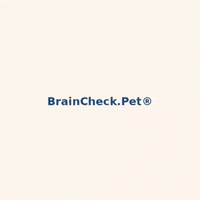 Brain Blitz GIF by BrainCheck.Pet