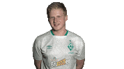 esports werderesports Sticker by SV Werder Bremen