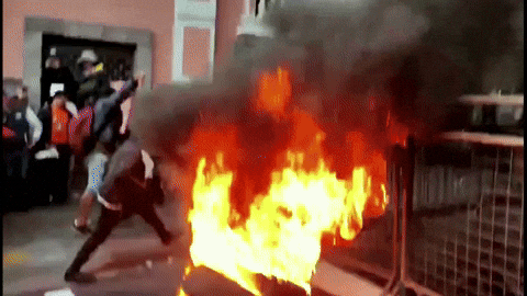 ActualidadBTV giphyupload GIF