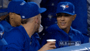 Blue Jays GIF by MLB