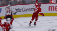 Ice Hockey Love GIF by NHL