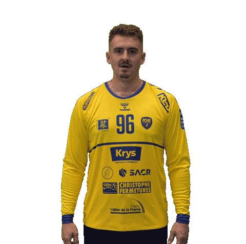 Pontault Pchb Sticker by Pontault-Combault Handball