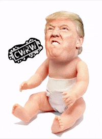 Beer Trump GIF by CWRW
