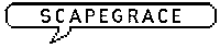 New Zealand Cheers Sticker by Scapegrace Gin
