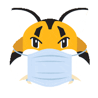College Mask Sticker by Quinnipiac University