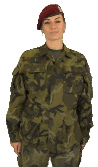 armadaceskerepubliky you army czech youcandoit Sticker