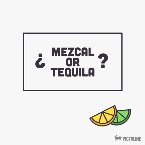 tequila know GIF