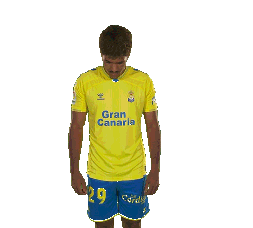 Gran Canaria Coco Sticker by UD Las Palmas