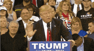 GIF by Mashable