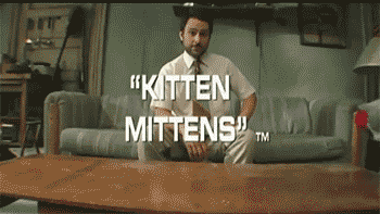 Its Always Sunny In Philadelphia Cat GIF