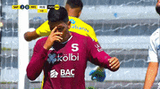 GIF by TD Más