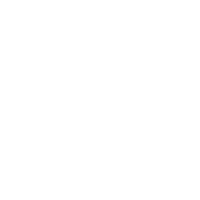 noxu lights x noxu noxu music Sticker